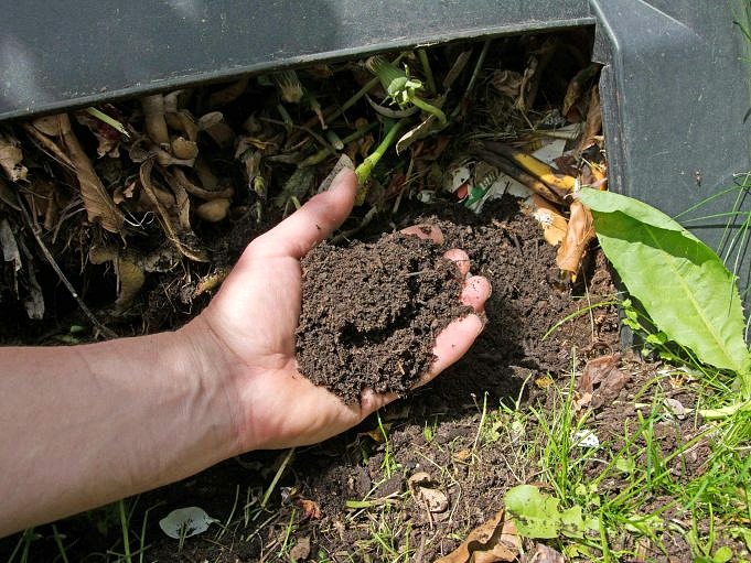 Wat Moet Je Kiezen Meststof Of Compost